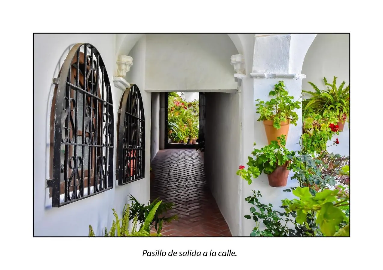 Apartmán Casa Del Mayorazgo Con Plaza De Parking Privada Vejer de la Frontera
